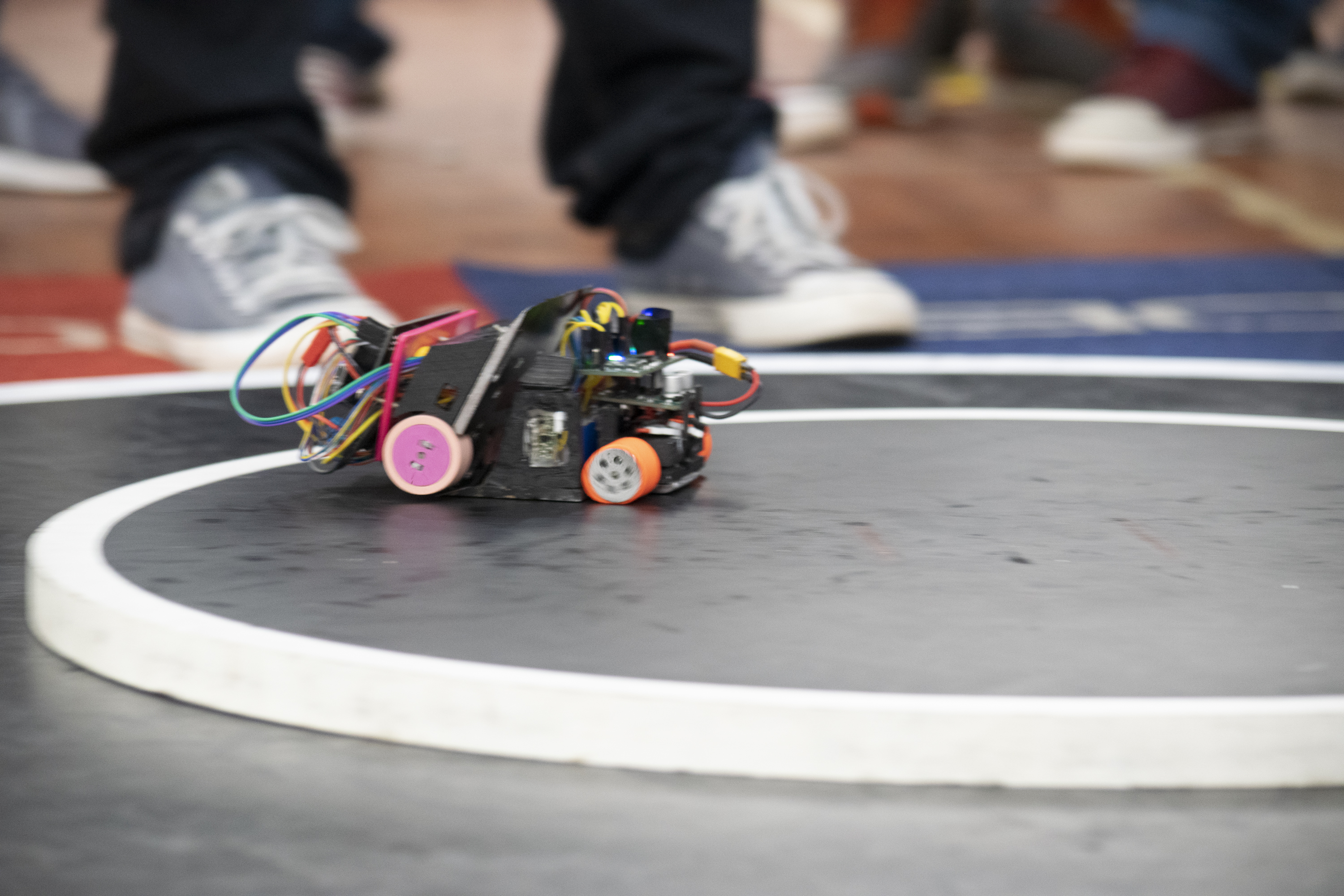 Mini sumo yarışında robot